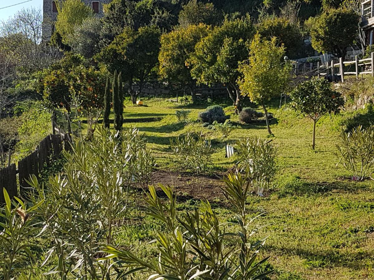 La Villa Guidi Pila-Canale Exterior photo